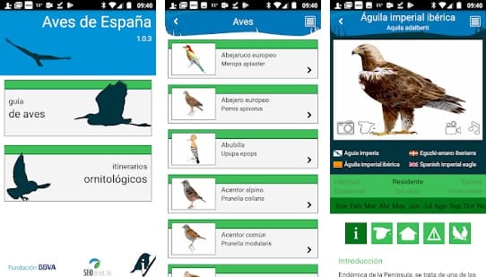 aplicaciones para identificar aves