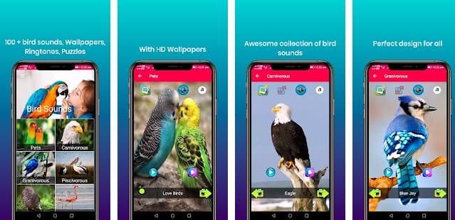 aplicaciones para identificar aves